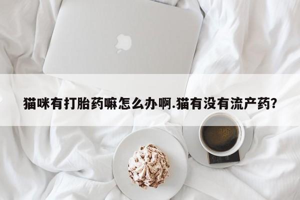 意外怀孕怎么买流产药猫咪有打胎药嘛怎么办啊.猫有没有流产药？