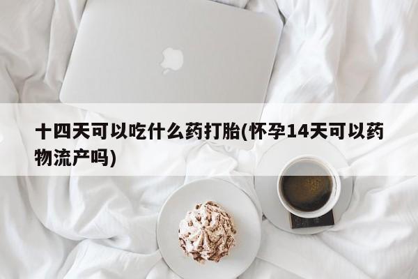 意外怀孕怎么买流产药十四天可以吃什么药打胎(怀孕14天可以药物流产吗)